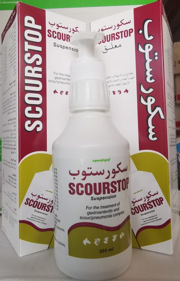 سكورستوب