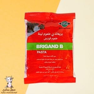 بريغاند