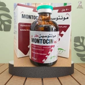 مونتوسين