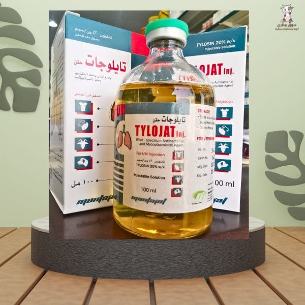تايلوجات