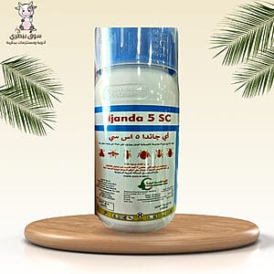 اي جاندا 5 اس سي
